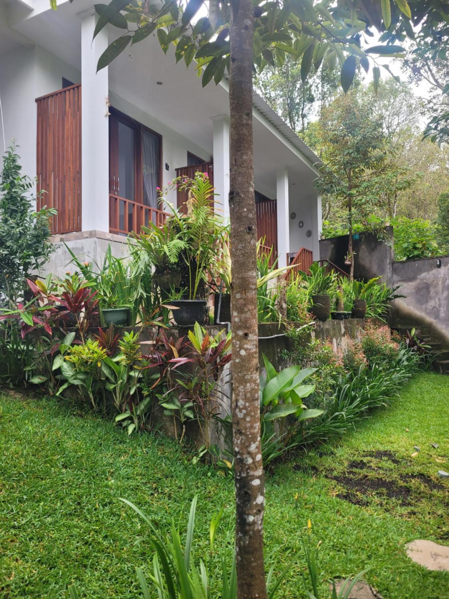Umah Yugadi Bali Apartman Munduk Kültér fotó